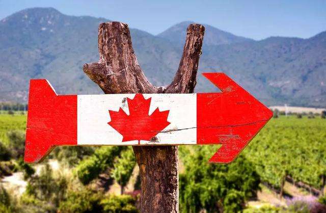 {ewin9娛樂}(移民加拿大真实生活后悔)