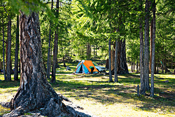 {六合彩}(森林哪些地方适合野外露营) {六合彩}(森林哪些地方适合野外露营)